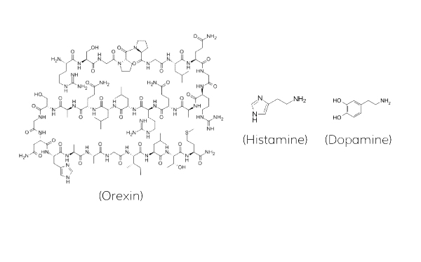 modafinil en el mostrador